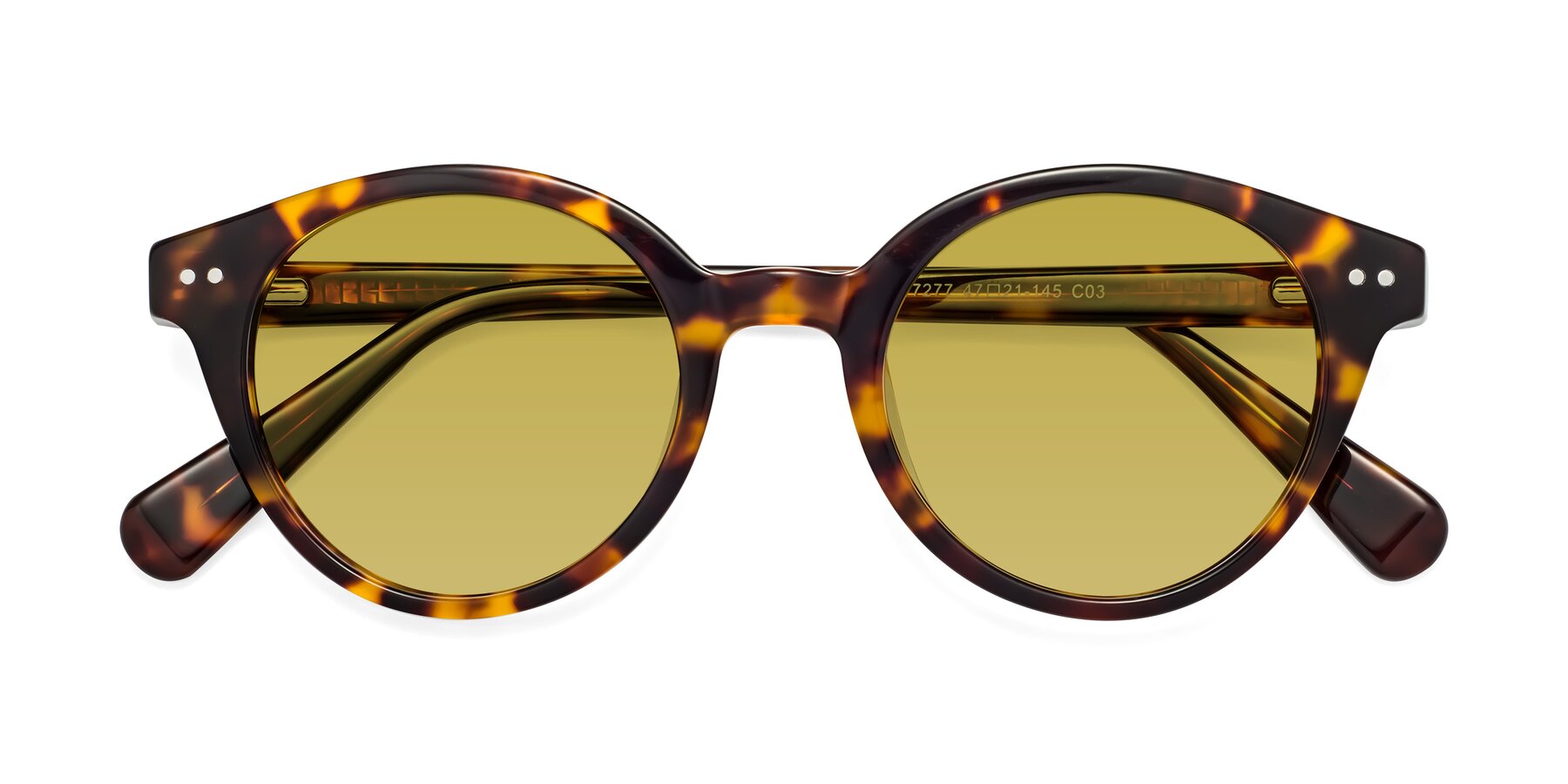 Folded Front of Bellion in Tortoise with Champagne Tinted Lenses