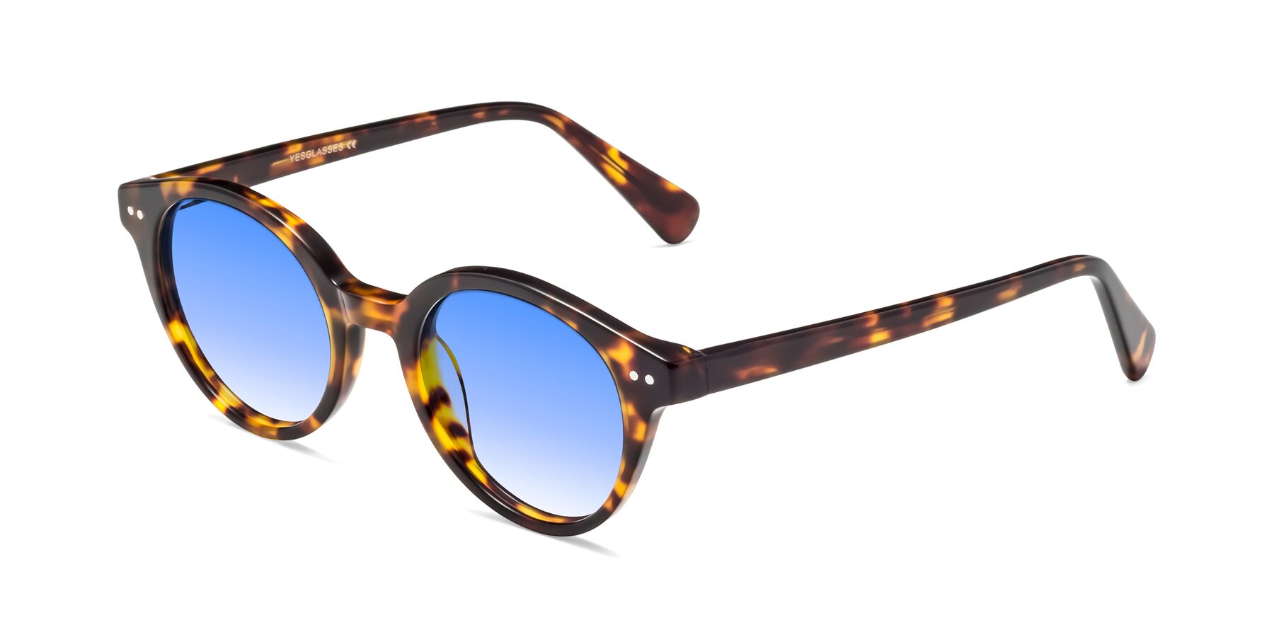 Angle of Bellion in Tortoise with Blue Gradient Lenses