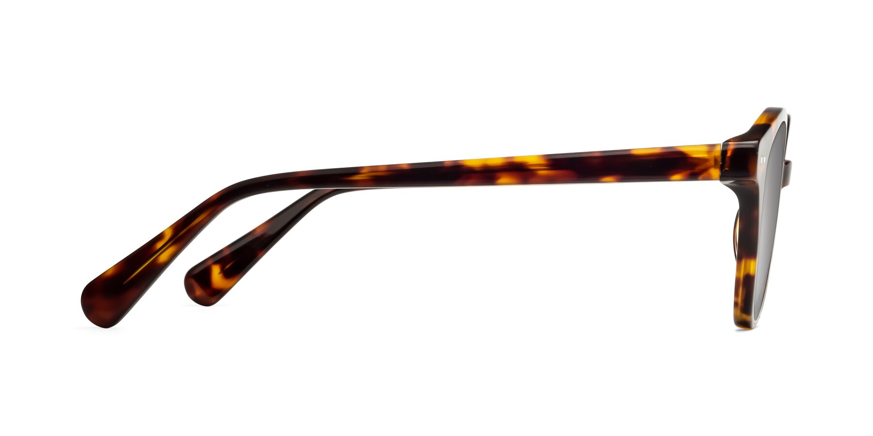 Side of Bellion in Tortoise with Silver Mirrored Lenses