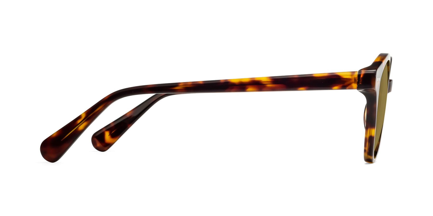 Side of Bellion in Tortoise with Brown Polarized Lenses