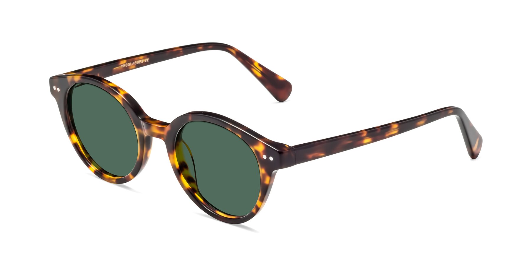 Angle of Bellion in Tortoise with Green Polarized Lenses