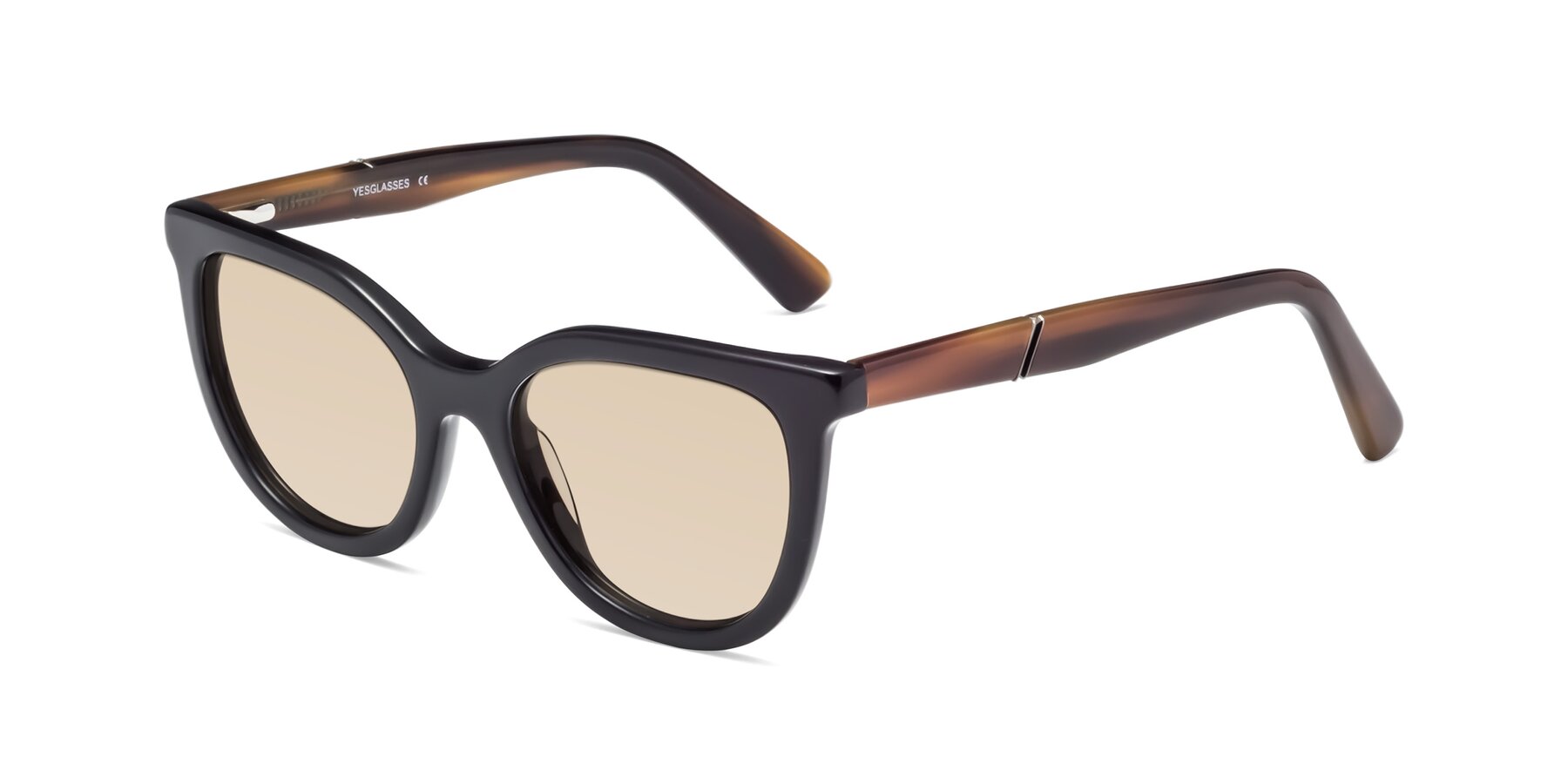 Angle of 17287 in Black with Light Brown Tinted Lenses