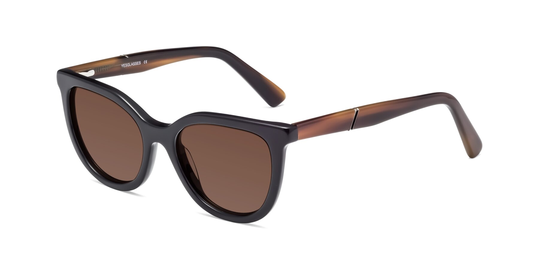Angle of 17287 in Black with Brown Tinted Lenses