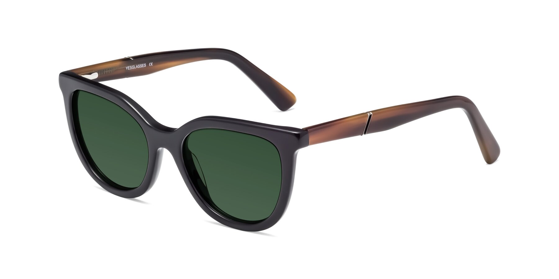 Angle of 17287 in Black with Green Tinted Lenses