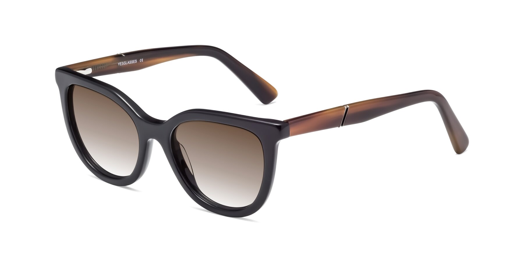 Angle of 17287 in Black with Brown Gradient Lenses