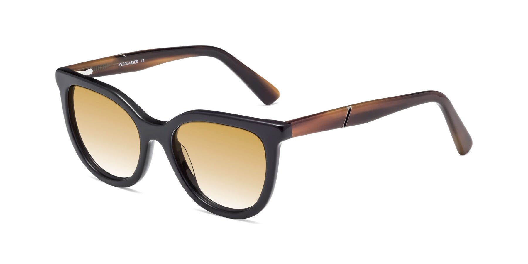 Angle of 17287 in Black with Champagne Gradient Lenses