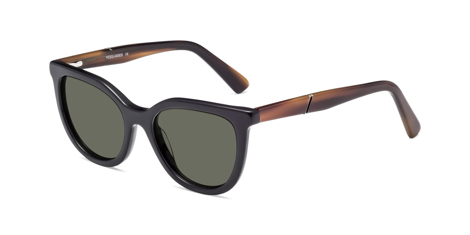Angle of 17287 in Black with Gray Polarized Lenses