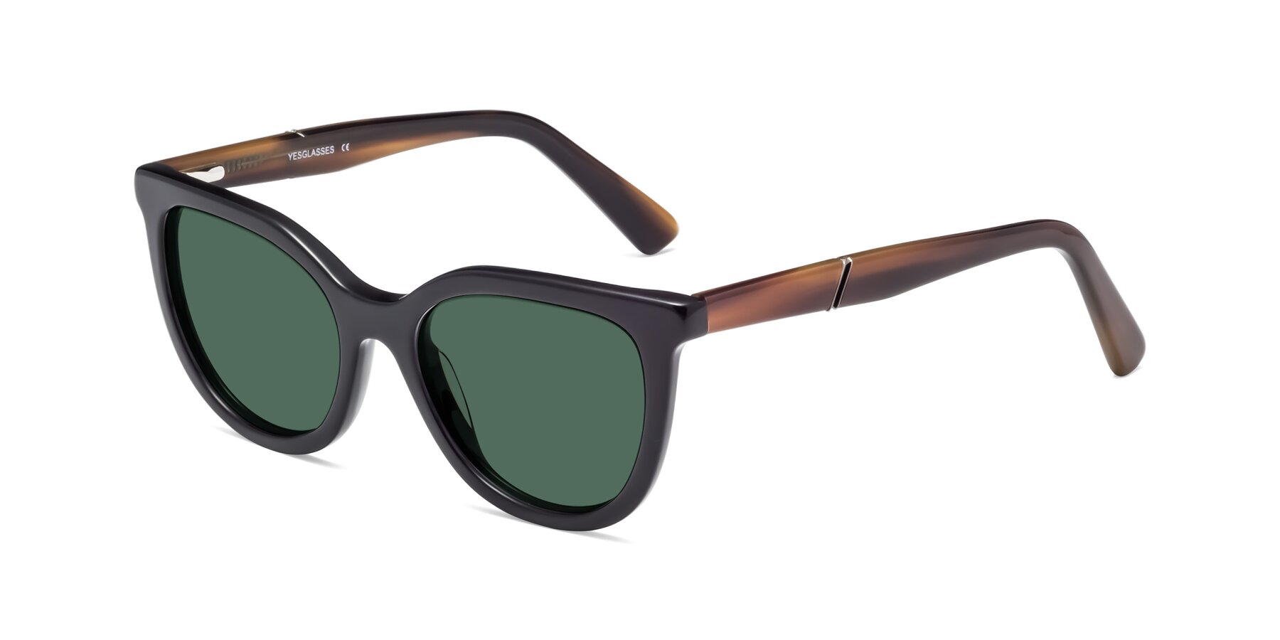 Angle of 17287 in Black with Green Polarized Lenses
