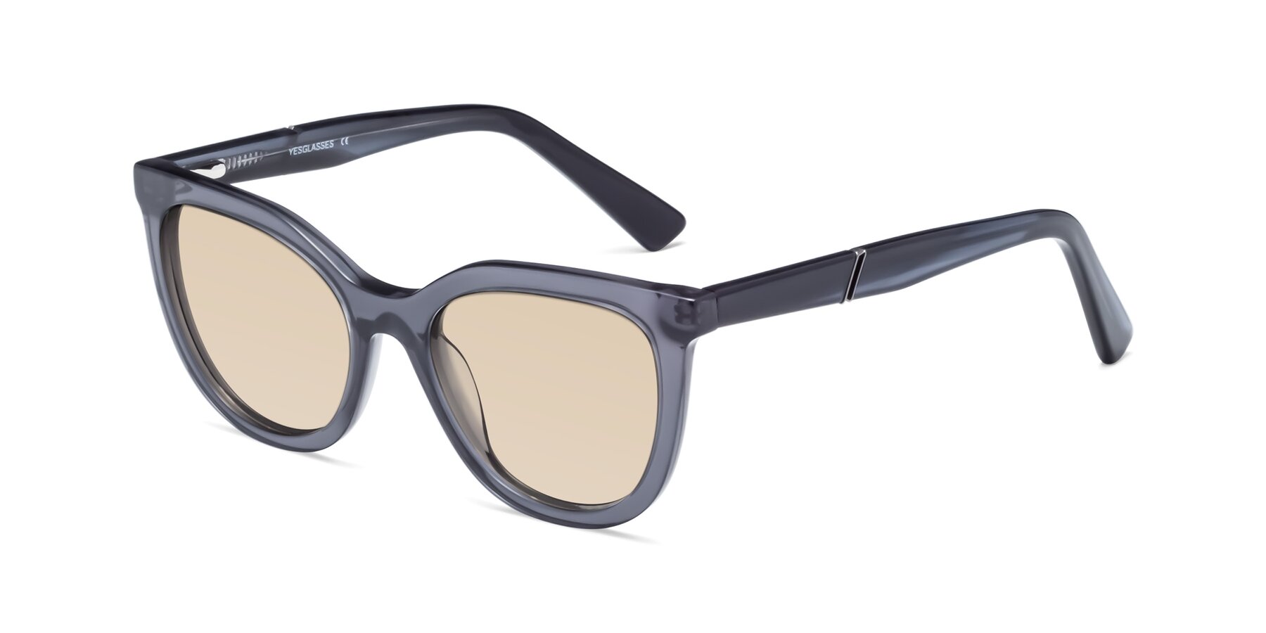 Angle of 17287 in Translucent Gray with Light Brown Tinted Lenses