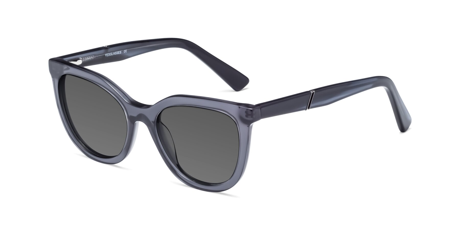Angle of 17287 in Translucent Gray with Medium Gray Tinted Lenses