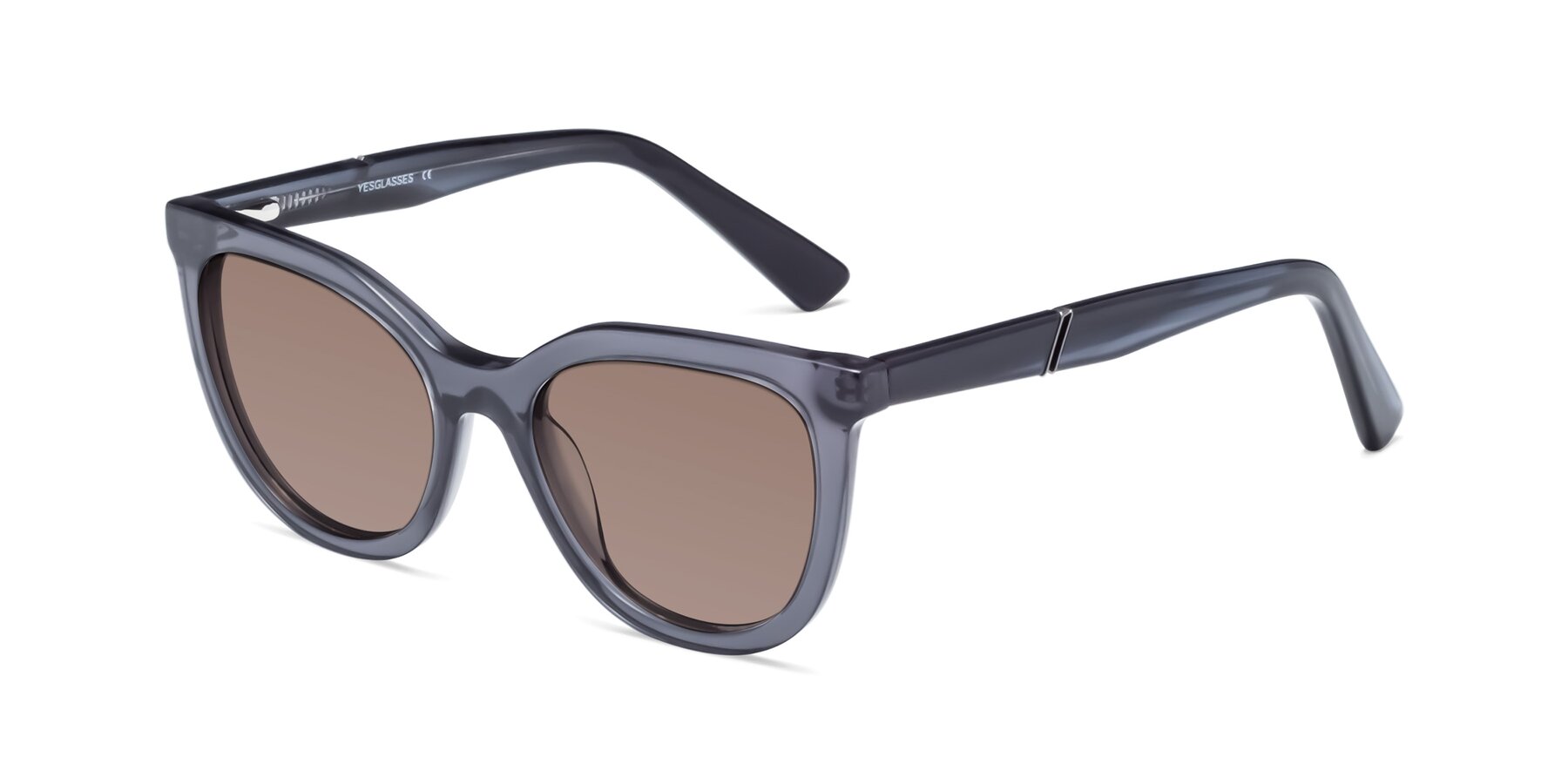 Angle of 17287 in Translucent Gray with Medium Brown Tinted Lenses