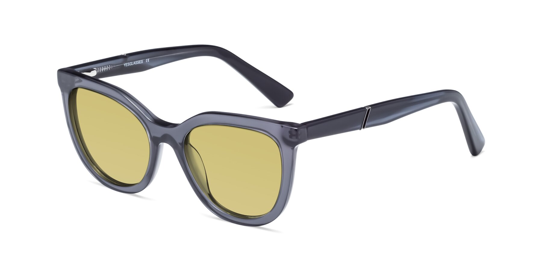 Angle of 17287 in Translucent Gray with Medium Champagne Tinted Lenses