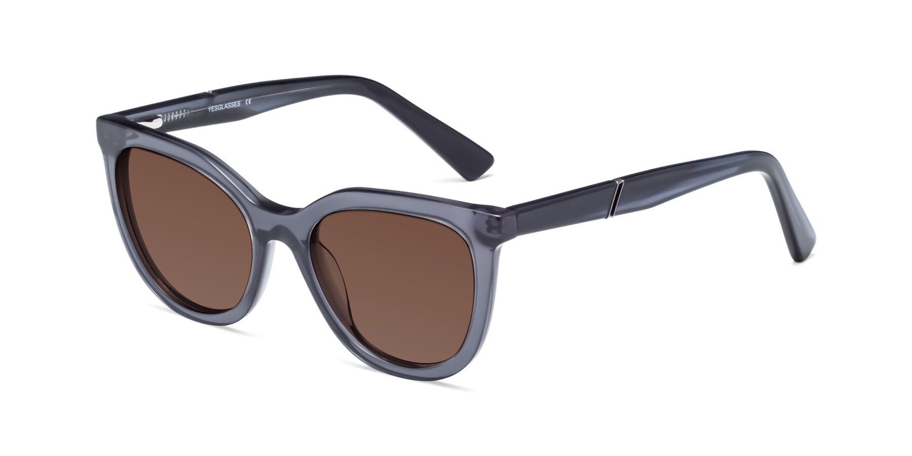 Angle of 17287 in Translucent Gray with Brown Tinted Lenses