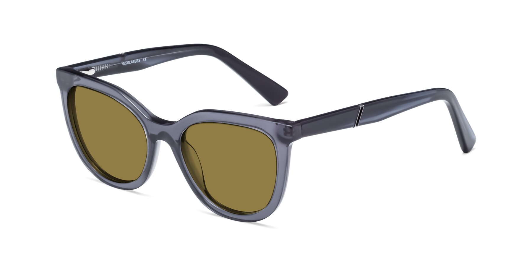 Angle of 17287 in Translucent Gray with Brown Polarized Lenses