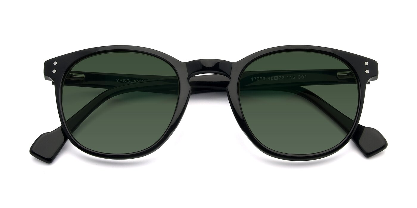 17293 - Black Tinted Sunglasses