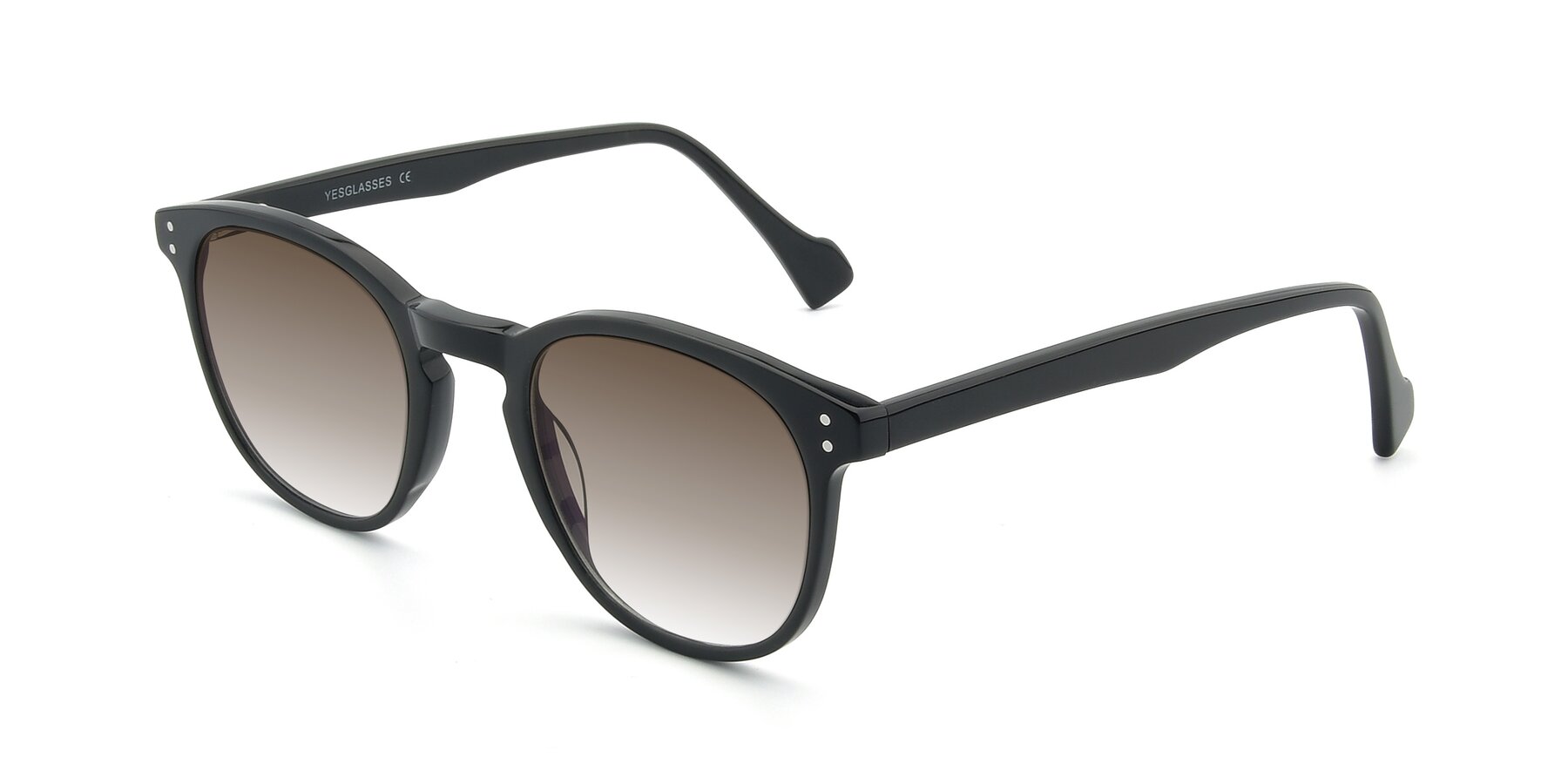 Angle of 17293 in Black with Brown Gradient Lenses