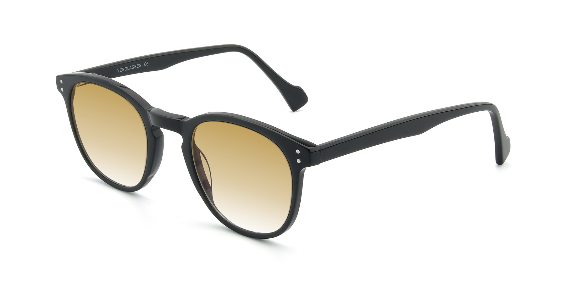 Angle of 17293 in Black with Champagne Gradient Lenses