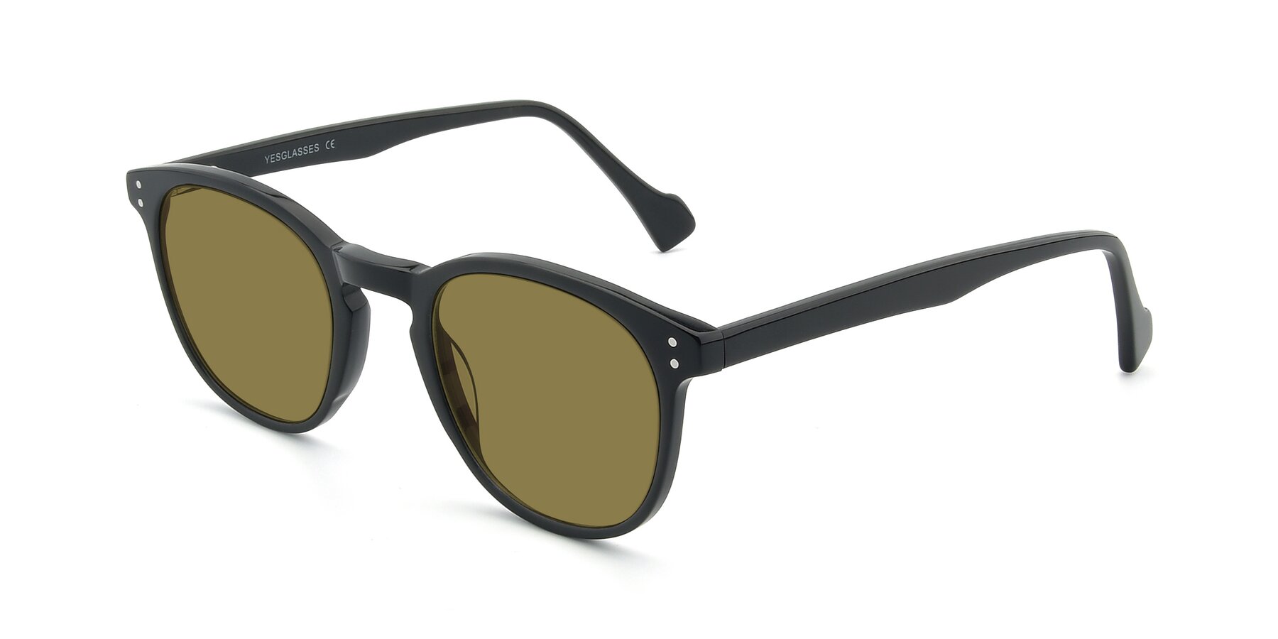 Angle of 17293 in Black with Brown Polarized Lenses