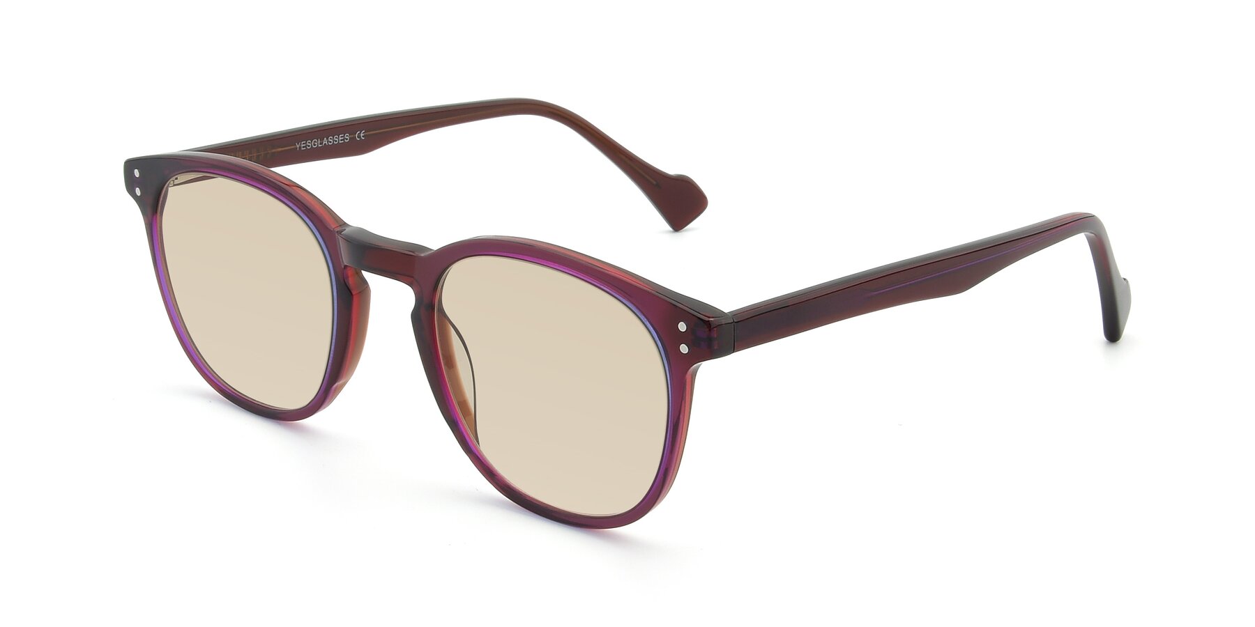 Angle of 17293 in Violet with Light Brown Tinted Lenses