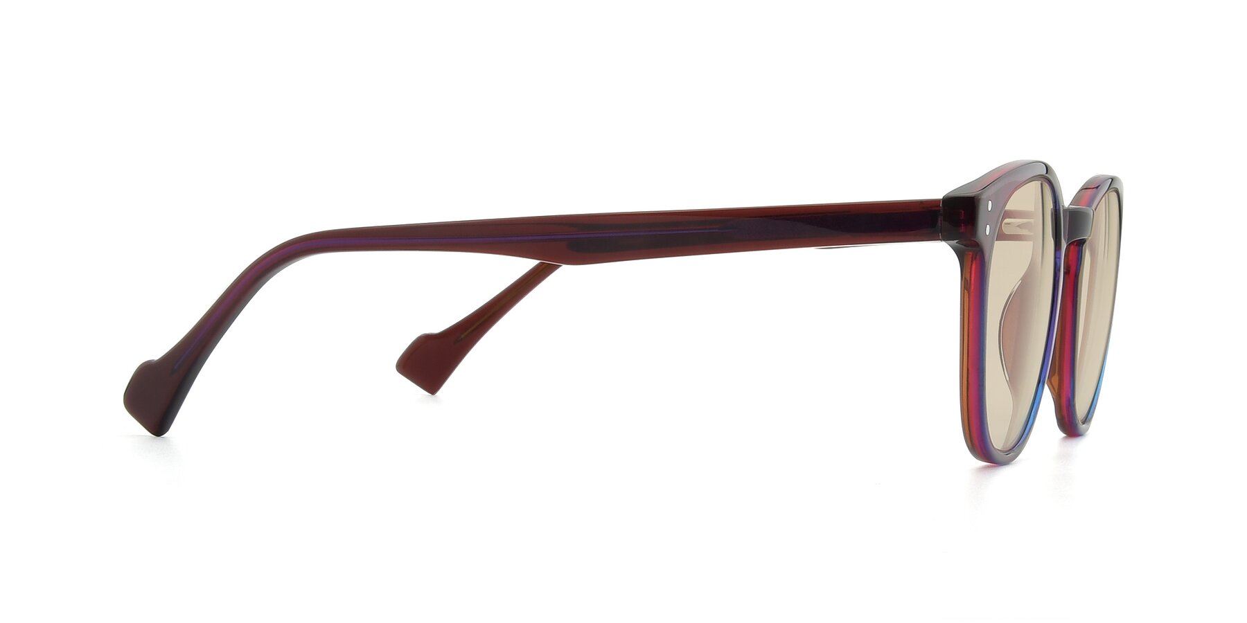Side of 17293 in Violet with Light Brown Tinted Lenses