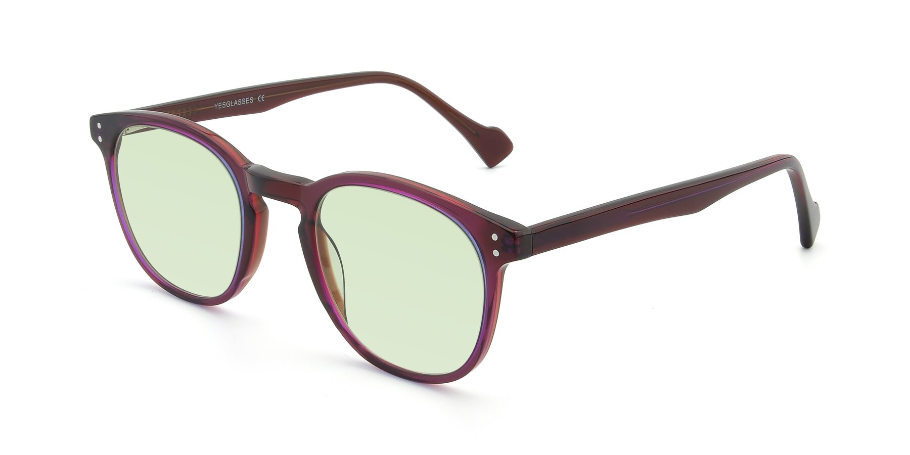 Angle of 17293 in Violet with Light Green Tinted Lenses