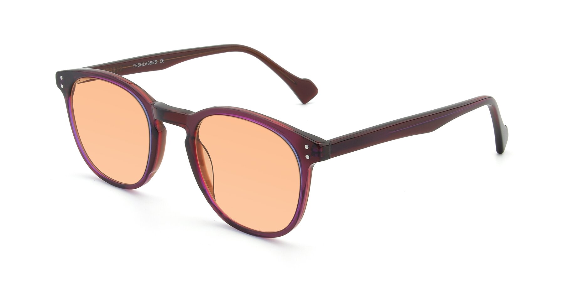 Angle of 17293 in Violet with Light Orange Tinted Lenses