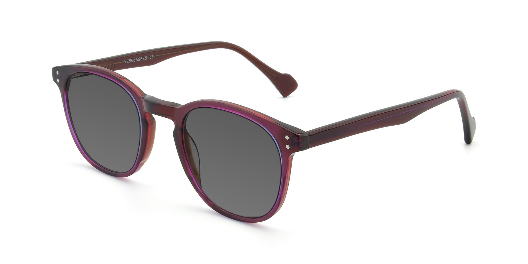 Angle of 17293 in Violet with Medium Gray Tinted Lenses