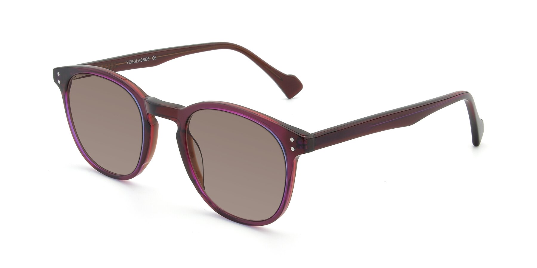 Angle of 17293 in Violet with Medium Brown Tinted Lenses