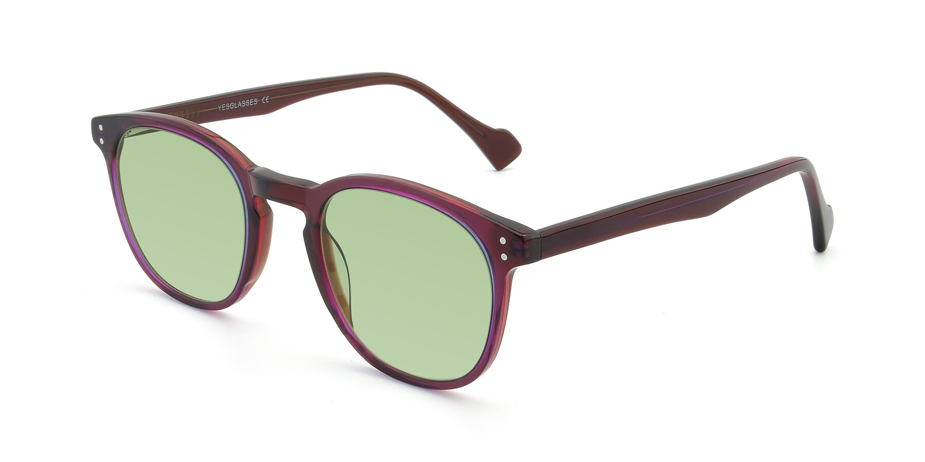 Angle of 17293 in Violet with Medium Green Tinted Lenses
