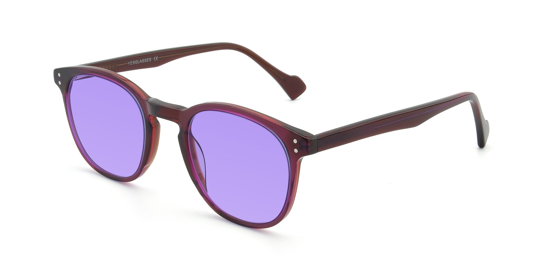 Angle of 17293 in Violet with Medium Purple Tinted Lenses
