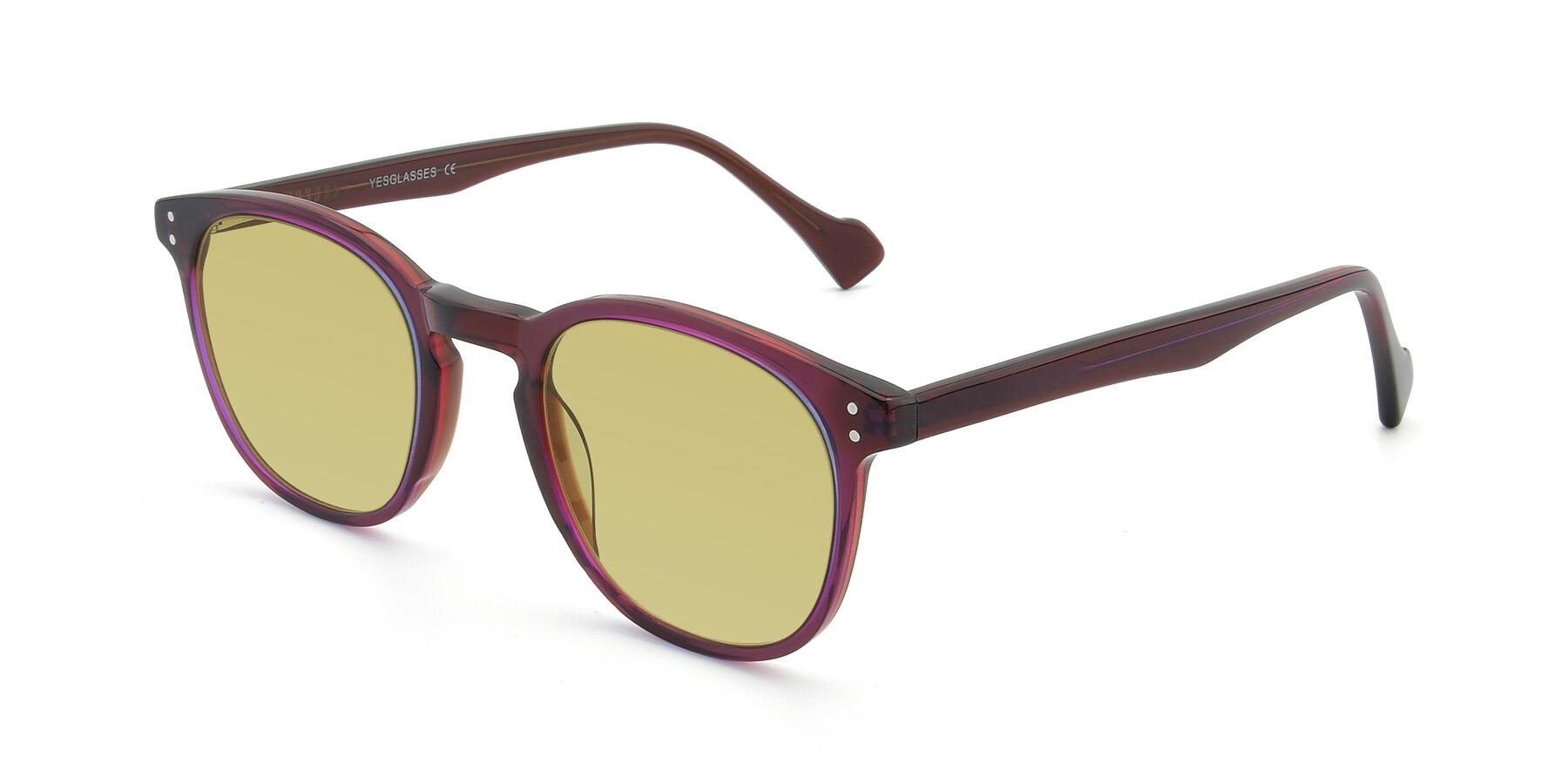 Angle of 17293 in Violet with Medium Champagne Tinted Lenses
