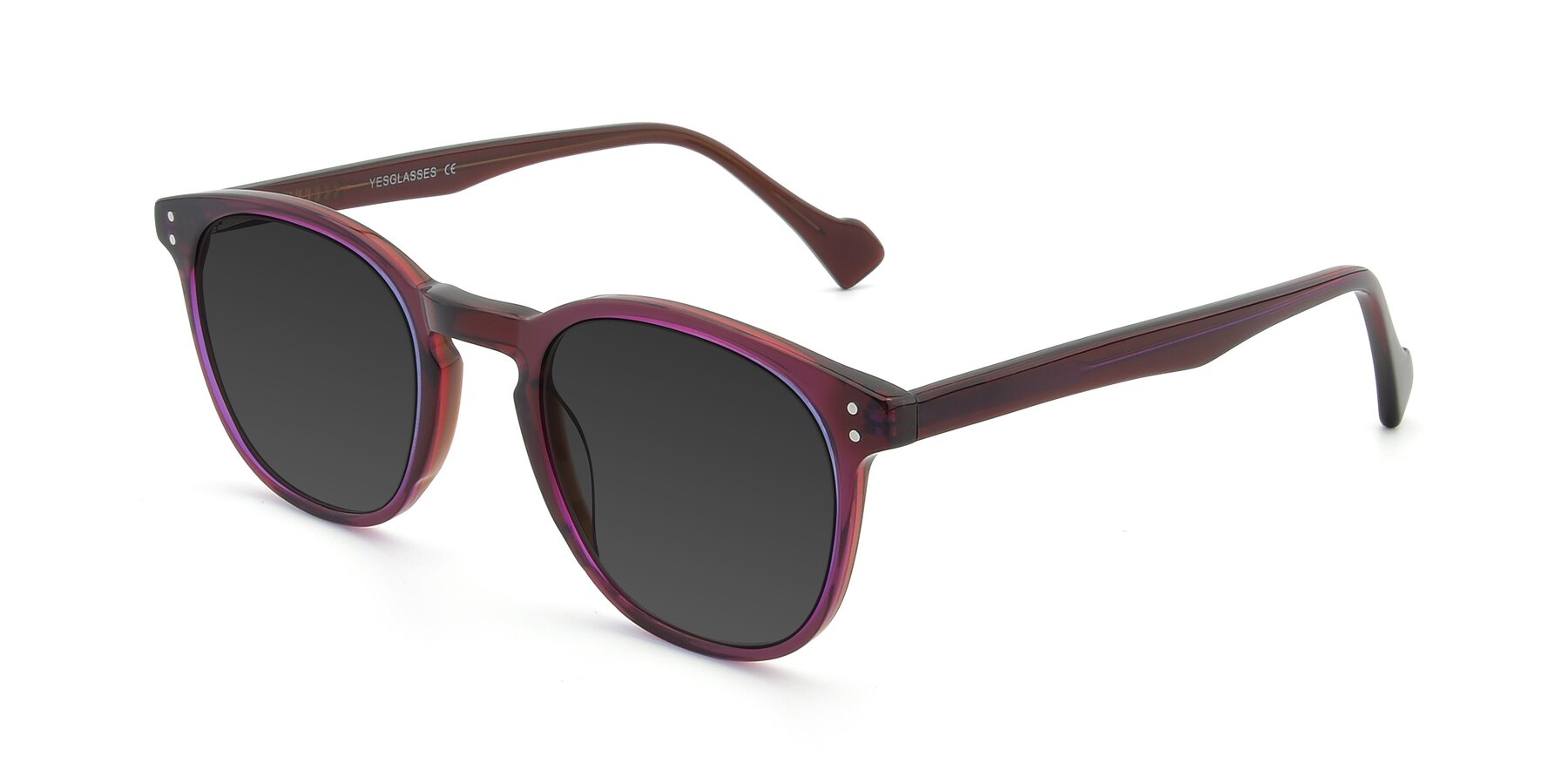 Angle of 17293 in Violet with Gray Tinted Lenses