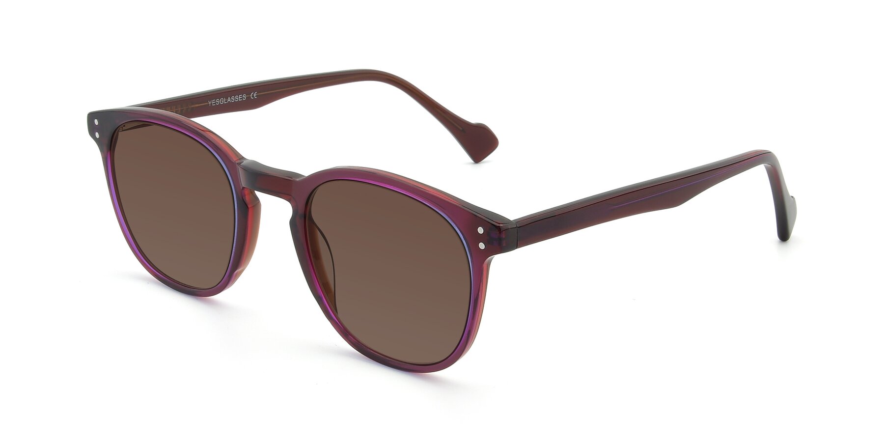 Angle of 17293 in Violet with Brown Tinted Lenses