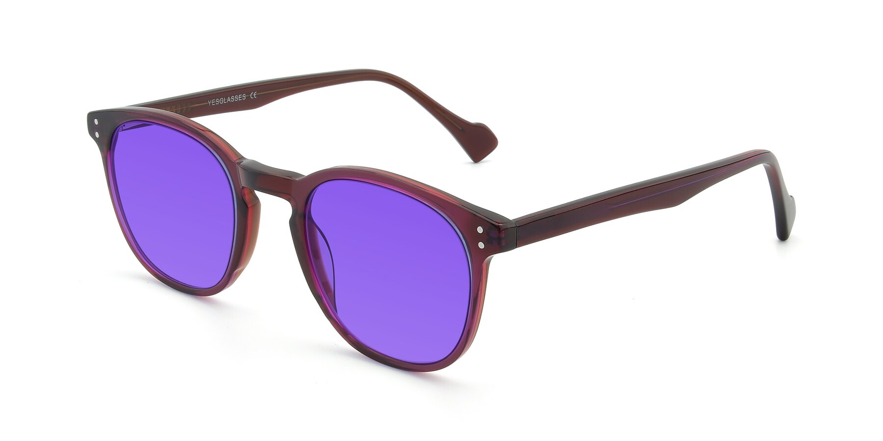 Angle of 17293 in Violet with Purple Tinted Lenses