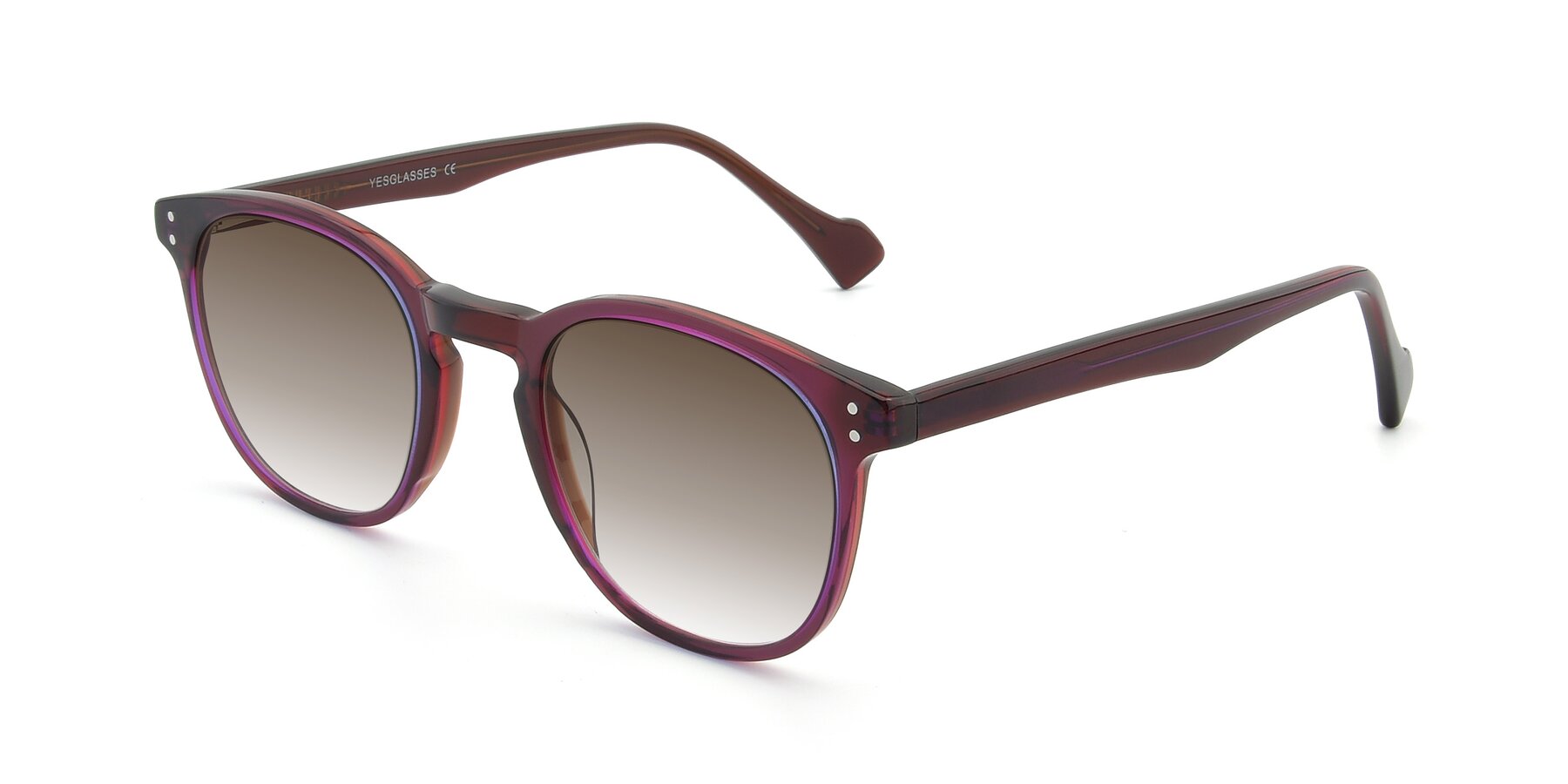 Angle of 17293 in Violet with Brown Gradient Lenses