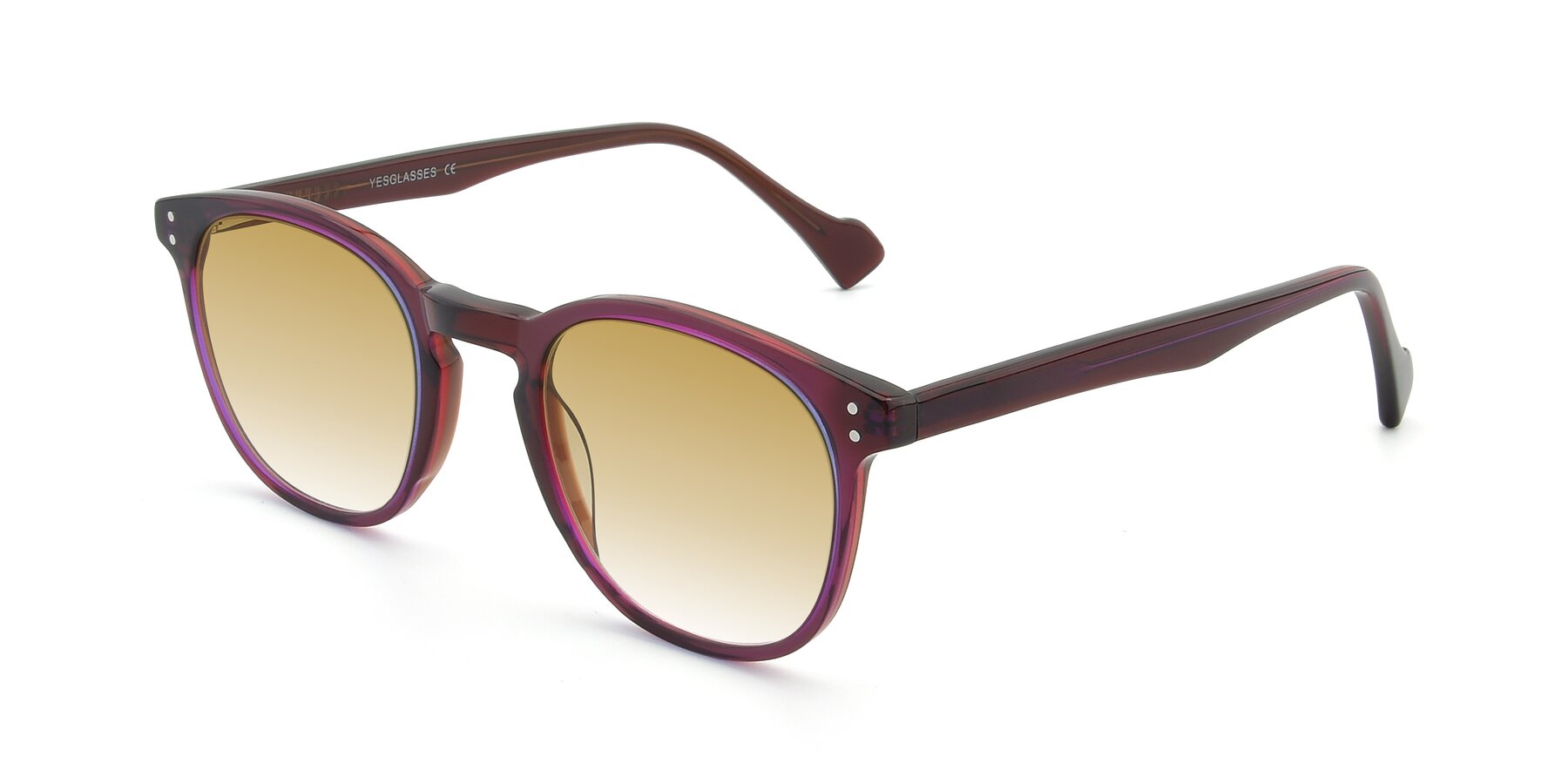 Angle of 17293 in Violet with Champagne Gradient Lenses