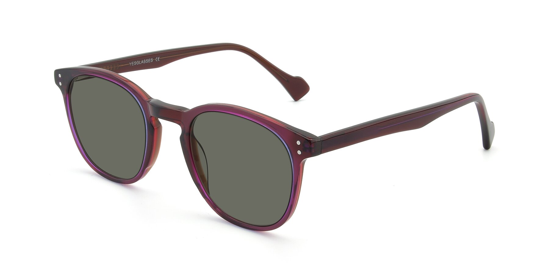 Angle of 17293 in Violet with Gray Polarized Lenses