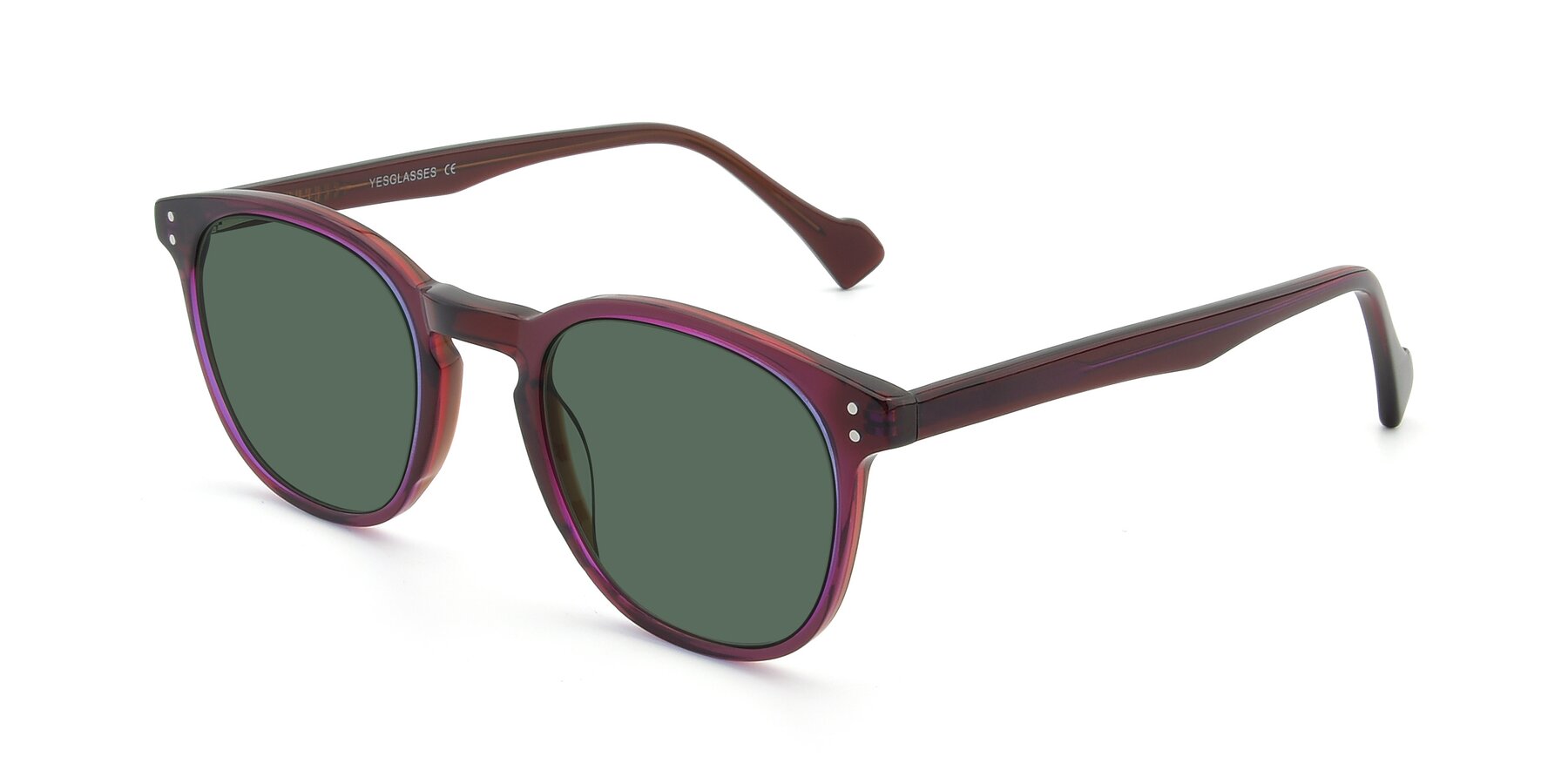 Angle of 17293 in Violet with Green Polarized Lenses