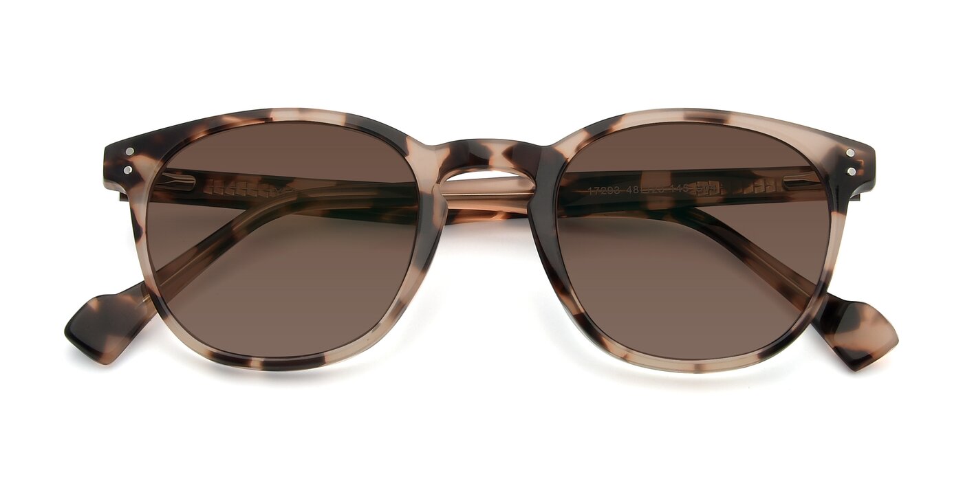17293 - Tortoise Tinted Sunglasses