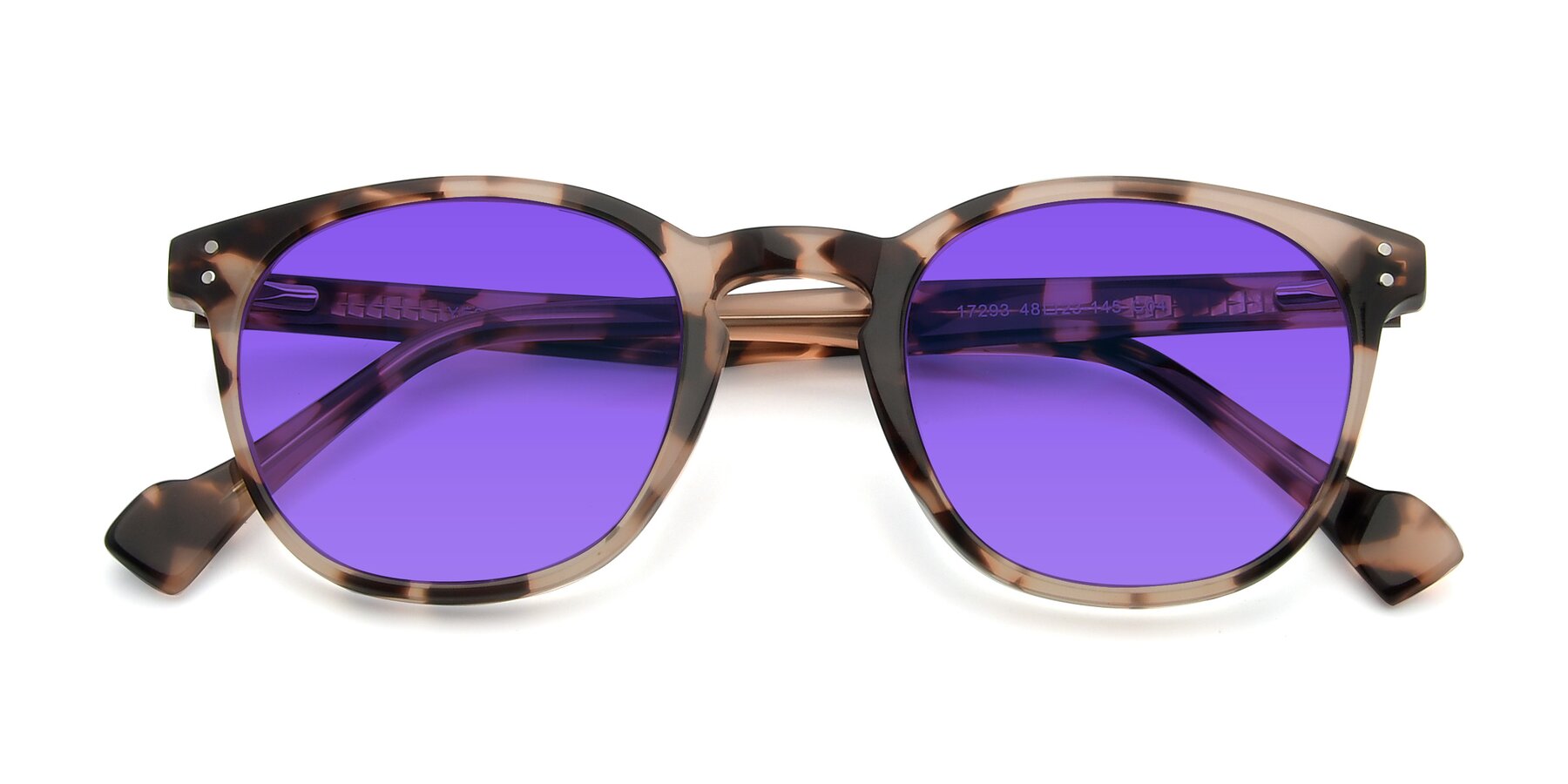 Folded Front of 17293 in Tortoise with Purple Tinted Lenses