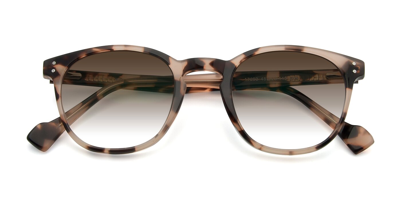 17293 - Tortoise Gradient Sunglasses
