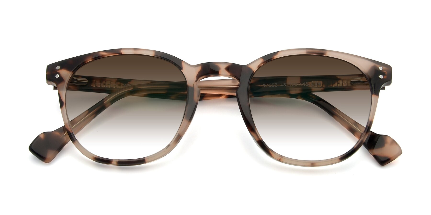 Folded Front of 17293 in Tortoise with Brown Gradient Lenses