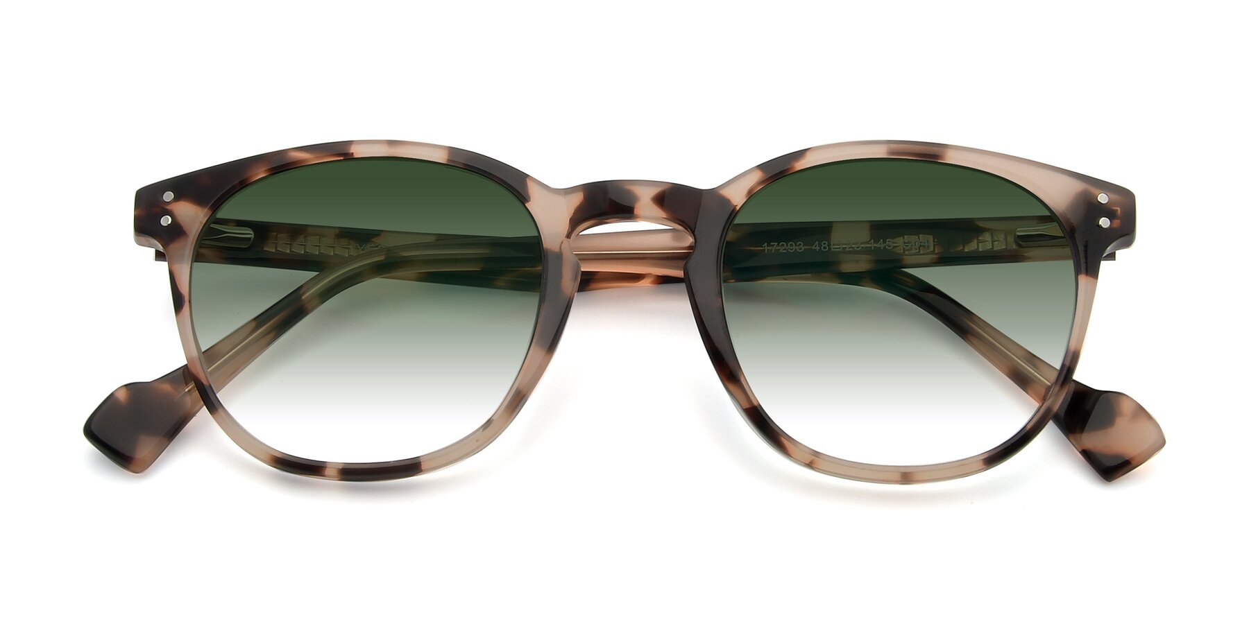 Folded Front of 17293 in Tortoise with Green Gradient Lenses