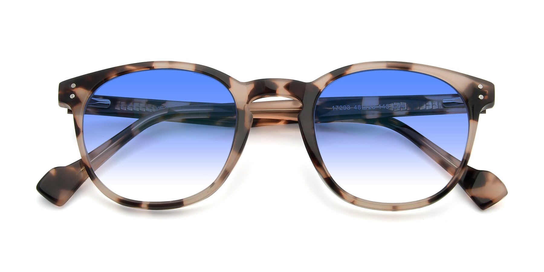 Folded Front of 17293 in Tortoise with Blue Gradient Lenses