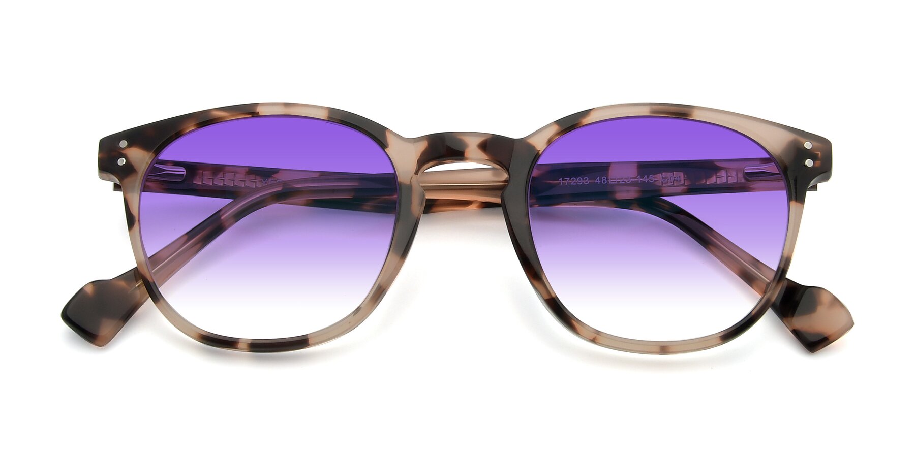 Folded Front of 17293 in Tortoise with Purple Gradient Lenses