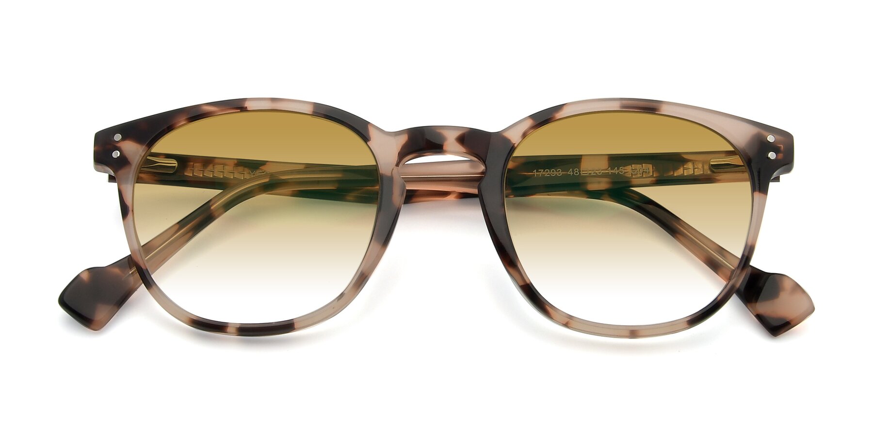 Folded Front of 17293 in Tortoise with Champagne Gradient Lenses