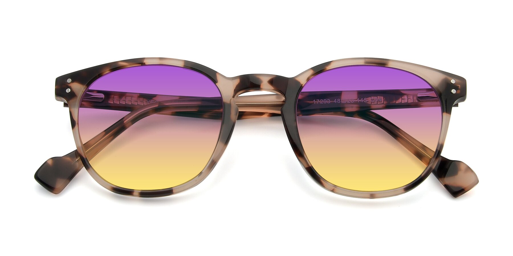 Folded Front of 17293 in Tortoise with Purple / Yellow Gradient Lenses