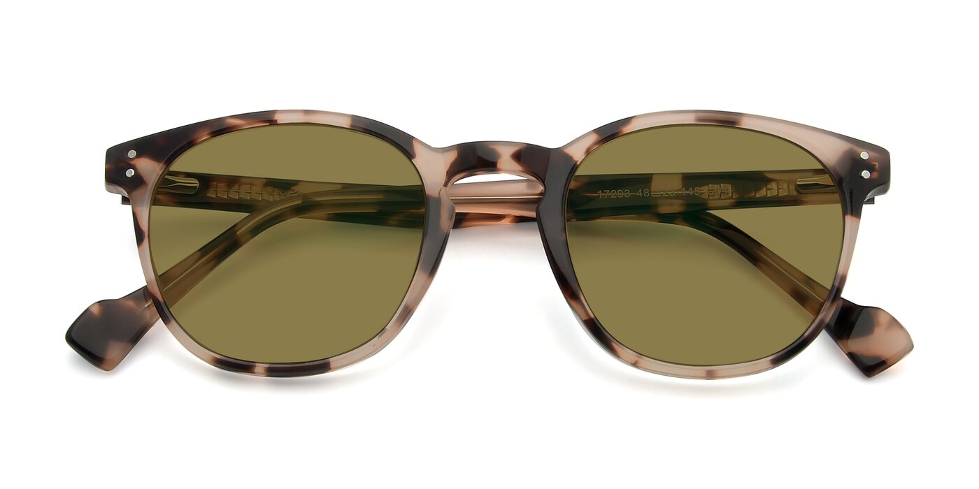 17293 - Tortoise Polarized Sunglasses