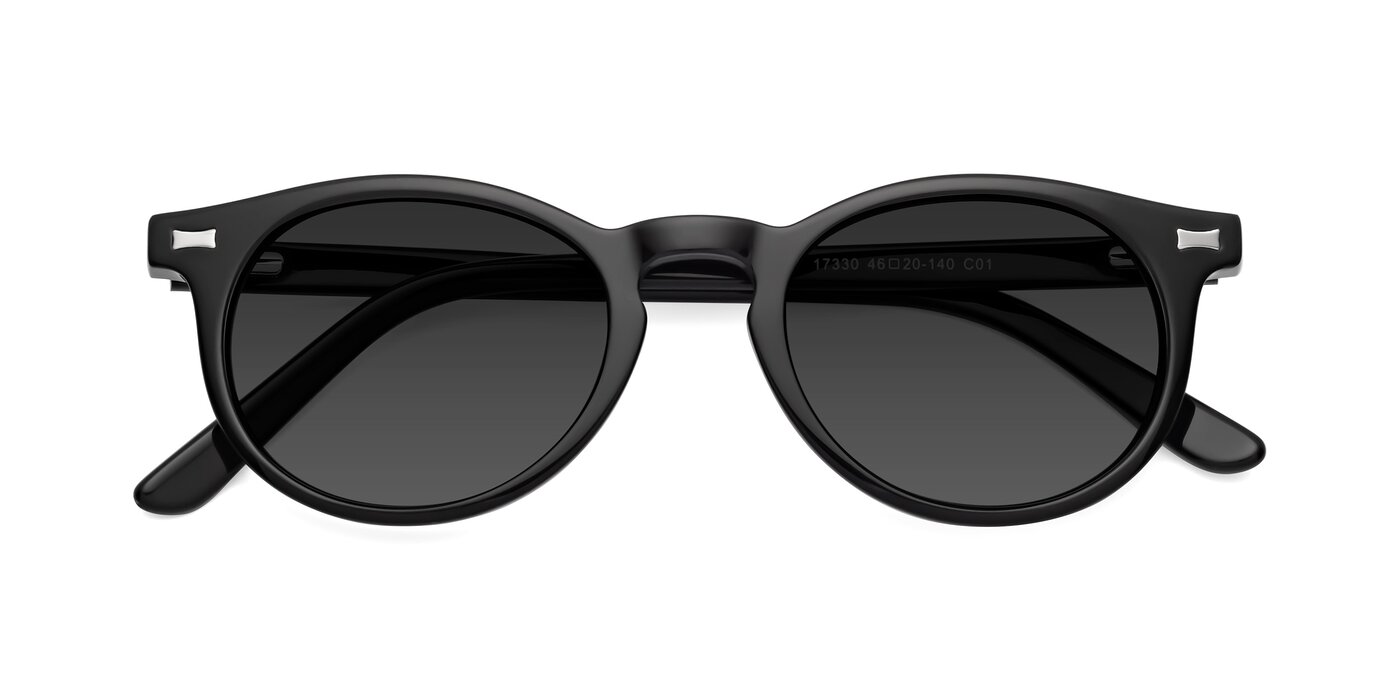 17330 - Black Tinted Sunglasses
