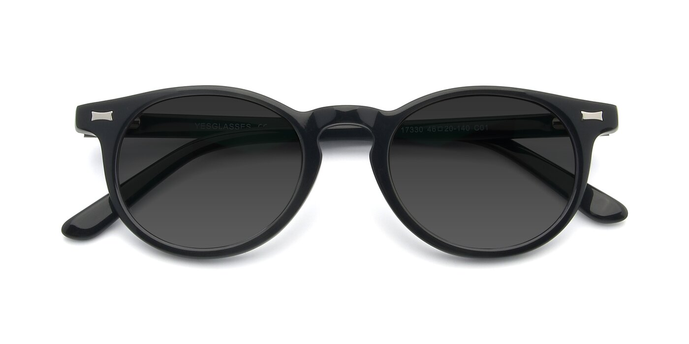 17330 - Black Tinted Sunglasses